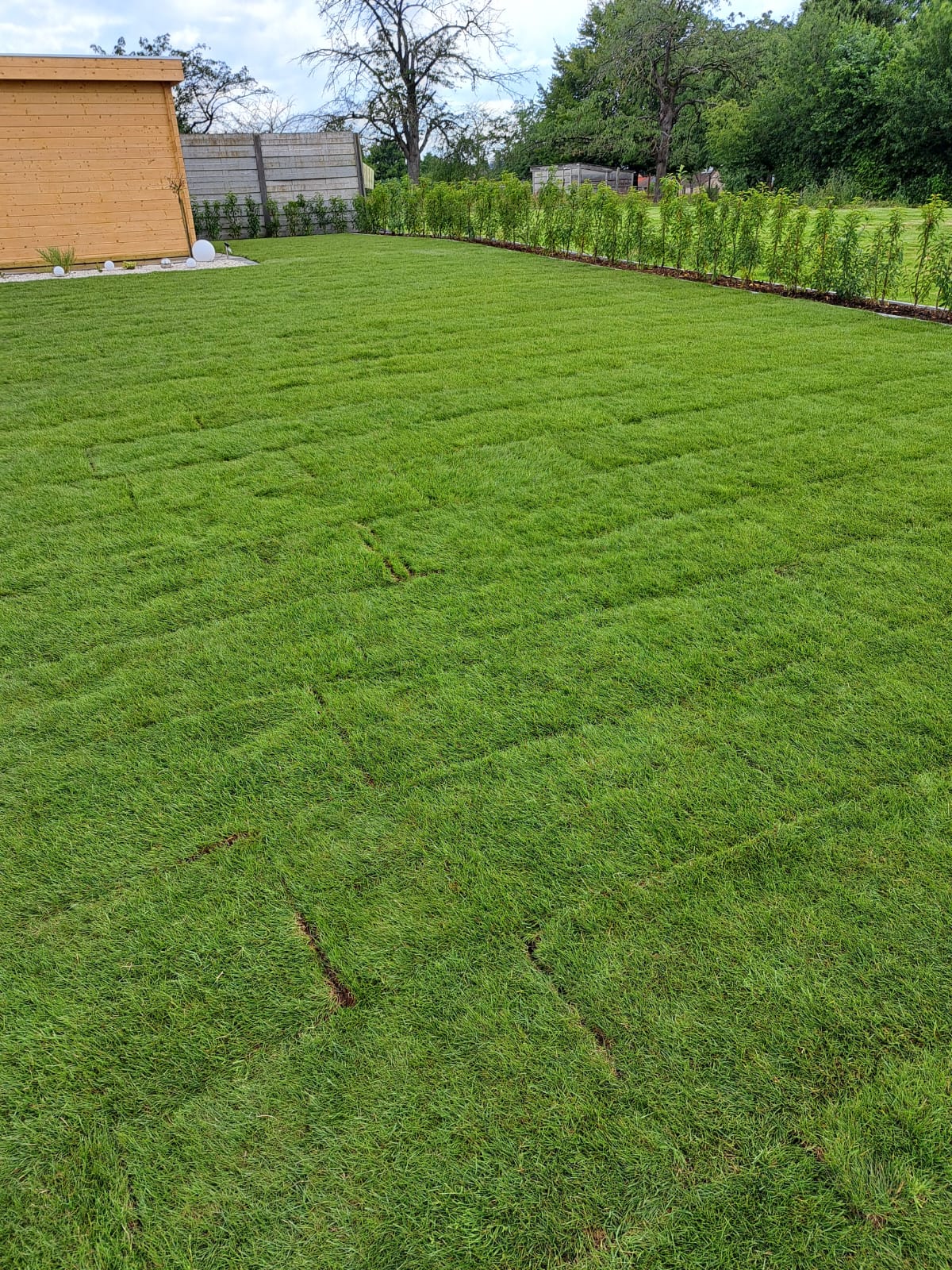 Tuinwerken Hoeselt | algenmene tuinwerken Peter Haesevoets | Grasmatten | Maaien | Hakselen | Frezen | onderhoud | Klinkers | Paden | Gazon